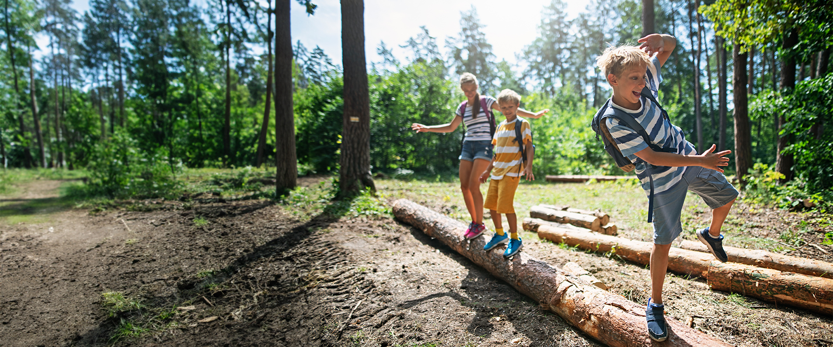 Drei Kinder balancieren im Wald auf einem umgefallenen Baumstamm